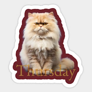 Thursday cat. Still holding! Sticker